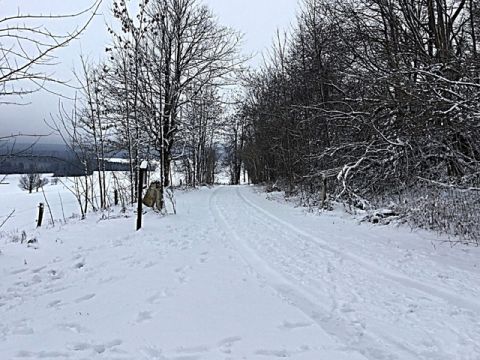 Foto 334